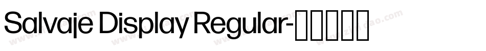 Salvaje Display Regular字体转换